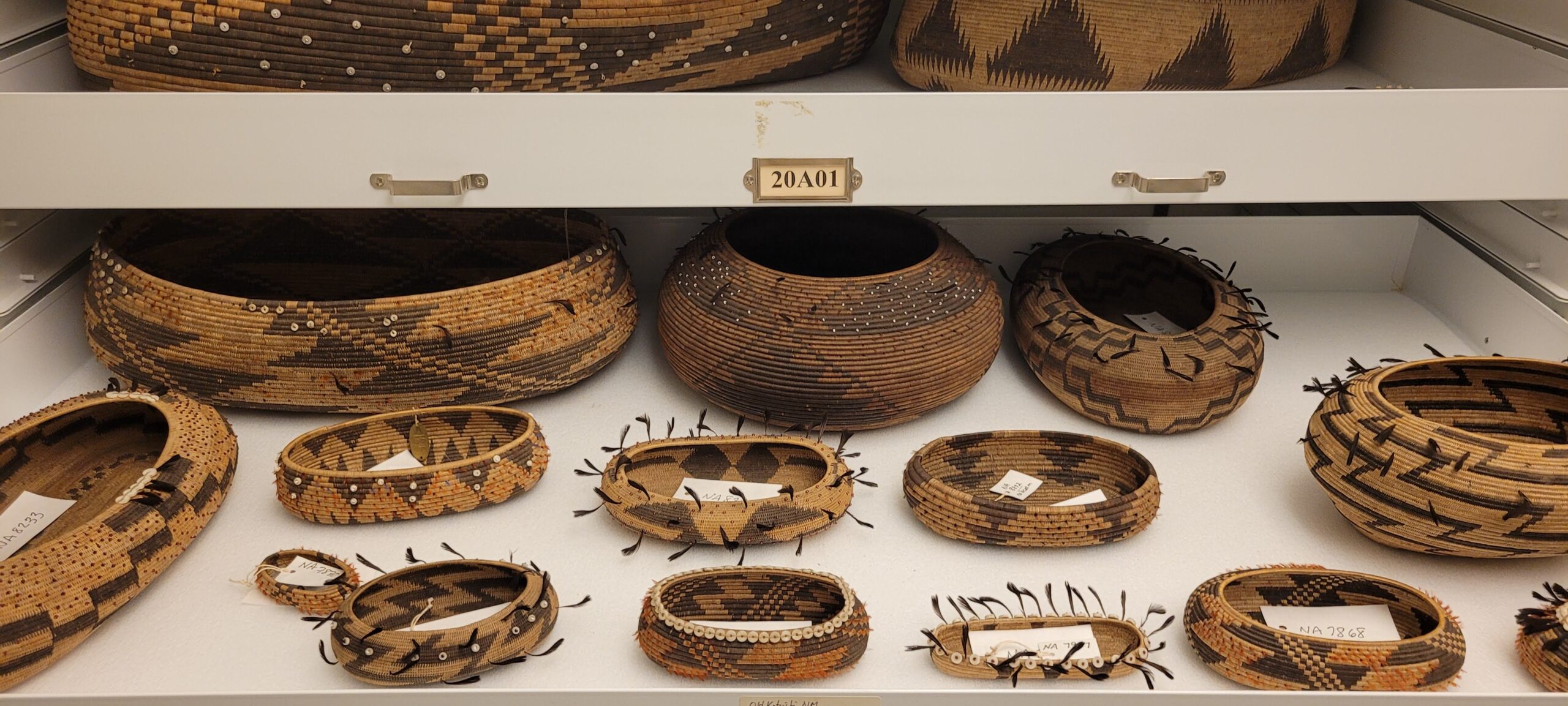 Pomo basket’s from the Penn Museum collection.